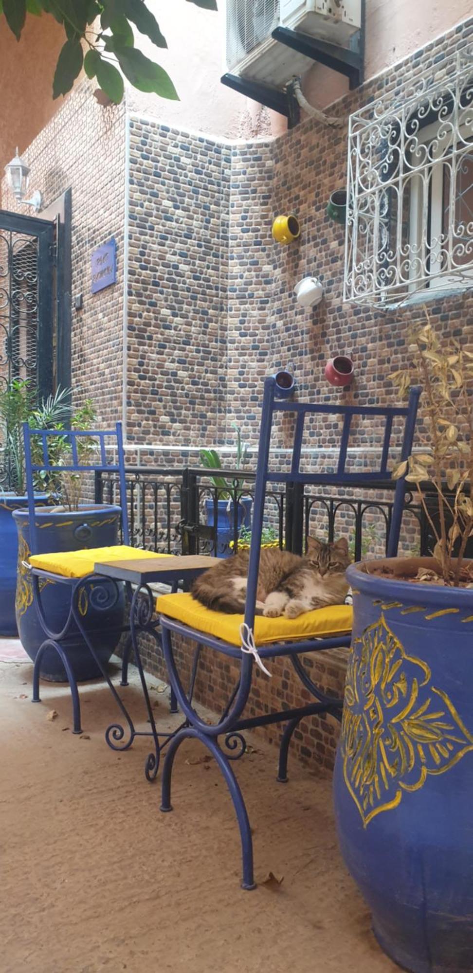 Riad Ramona Lqariya Seyaheya มาร์ราเกช ภายนอก รูปภาพ